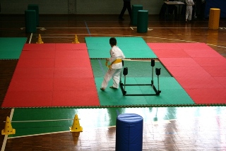 Image description